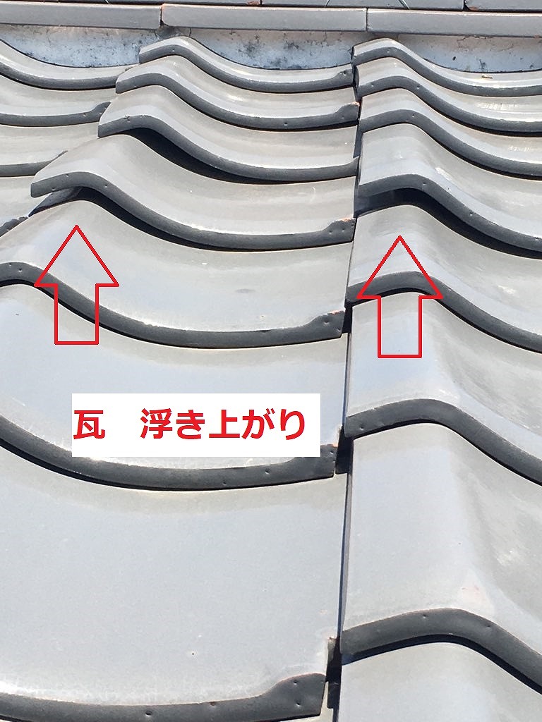 瓦　浮き上がり②